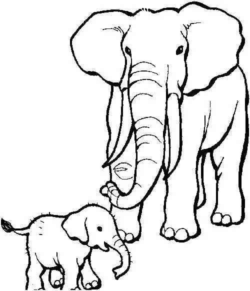 Disegni Animali Per Bambini Da Colorare Lupo Nella Foresta Disegno ... Disegni Animali Per Bambini Da Colorare Lupo Nella Foresta Disegno ...