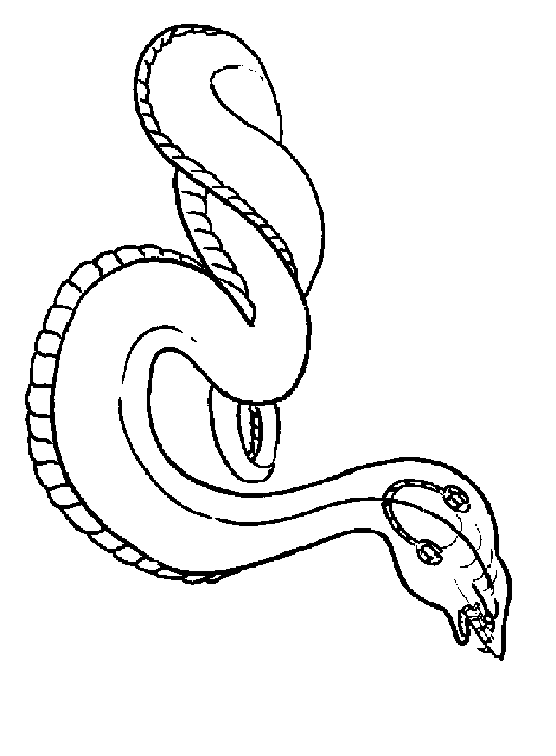 I DISEGNI PER BAMBINI, SERPENTE - by megghy. I DISEGNI PER BAMBINI, SERPENTE - by megghy.