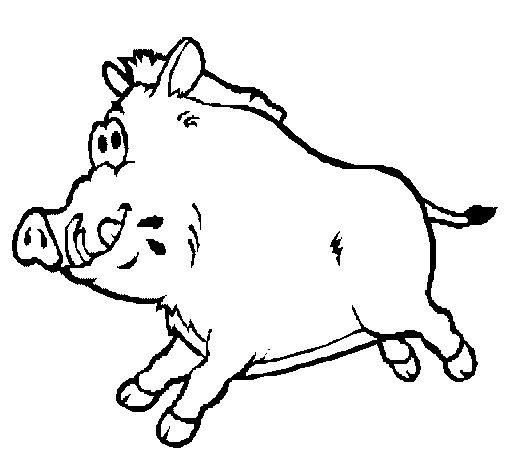 Disegno Cinghiale colorato da Utente non registrato il 02 di ... Disegno Cinghiale colorato da Utente non registrato il 02 di ...