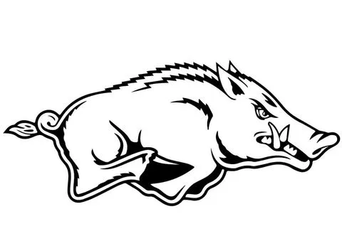 Disegno di Cinghiale selvatico da colorare | Disegni da colorare e ... Disegno di Cinghiale selvatico da colorare | Disegni da colorare e ...