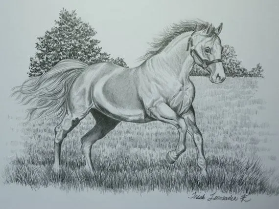 disegno di una corsa di cavalli a matita di LuckyDuckyArt su Etsy disegno di una corsa di cavalli a matita di LuckyDuckyArt su Etsy