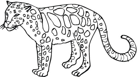 Disegno di Leopardo da colorare | Disegni da colorare e stampare ...