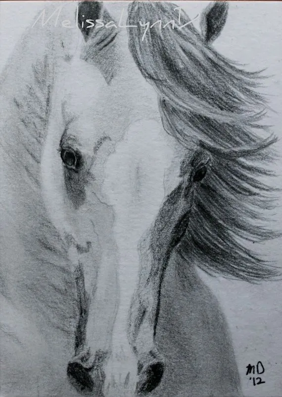 Disegno originale cavallo ACEO baia a matita di MelissaLynnD Disegno originale cavallo ACEO baia a matita di MelissaLynnD