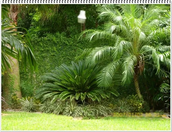 Como diseñar un jardín… | -Decoración y Jardinería- Como diseñar un jardín… | -Decoración y Jardinería-