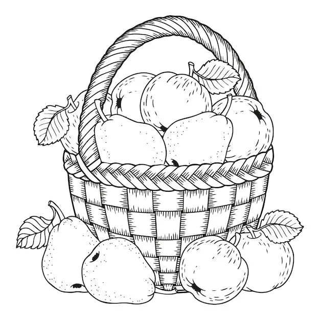 Diseño de cesta de frutas para colorear libro | Vector Premium Diseño de cesta de frutas para colorear libro | Vector Premium
