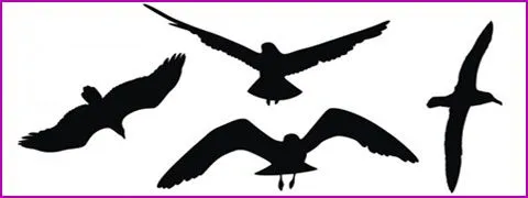 ... Diseño grafico | Diseño web: 300 siluetas de animales en vectores ... Diseño grafico | Diseño web: 300 siluetas de animales en vectores