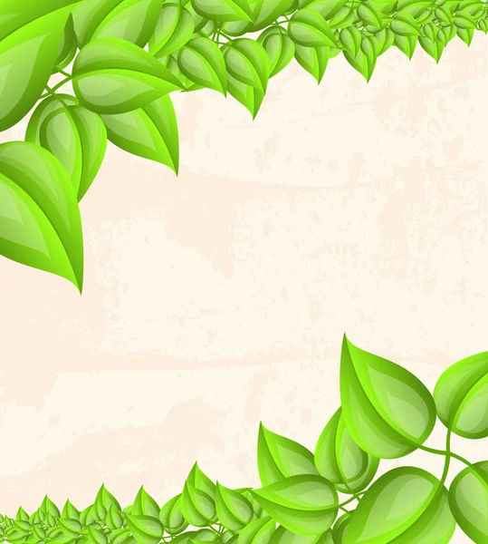 Diseño de hojas verdes frescas — Vector stock © file404 #13677021 Diseño de hojas verdes frescas — Vector stock © file404 #13677021