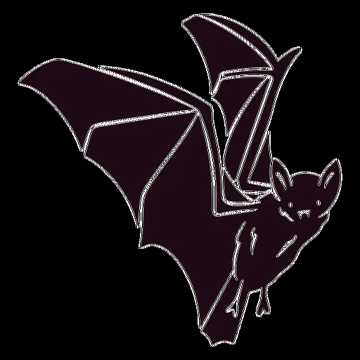 Diseño PNG Y SVG De Icono Detallado De Recorte De Murciélago Para Camisetas Diseño PNG Y SVG De Icono Detallado De Recorte De Murciélago Para Camisetas