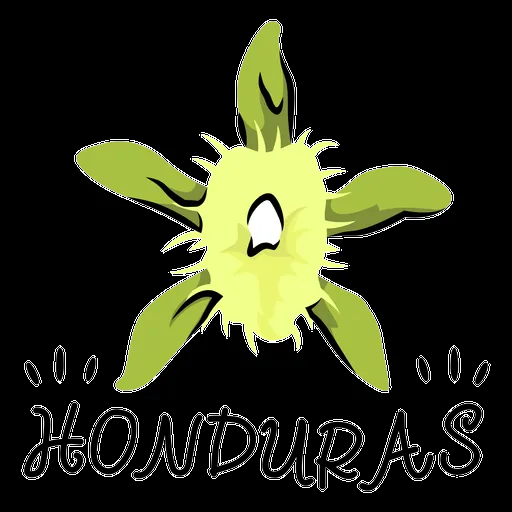 Diseño PNG Y SVG De Ilustración De La Orquídea Nacional De Honduras Para Camisetas Diseño PNG Y SVG De Ilustración De La Orquídea Nacional De Honduras Para Camisetas
