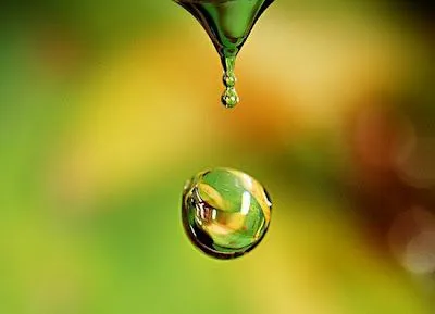 Diseño | web: 50 ejemplos de fotografía de rocío y gotas de agua Diseño | web: 50 ejemplos de fotografía de rocío y gotas de agua