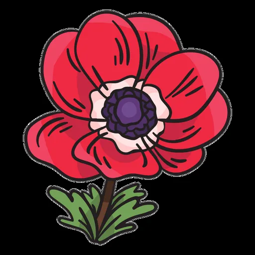 Diseños PNG de flor nacional para camisetas & Merch Diseños PNG de flor nacional para camisetas & Merch