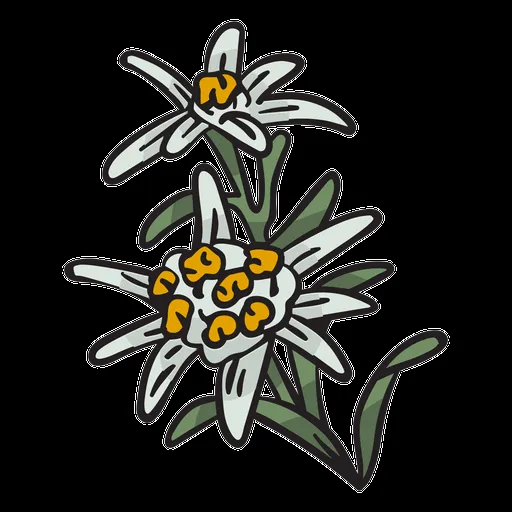 Diseños PNG de flor nacional para camisetas & Merch Diseños PNG de flor nacional para camisetas & Merch
