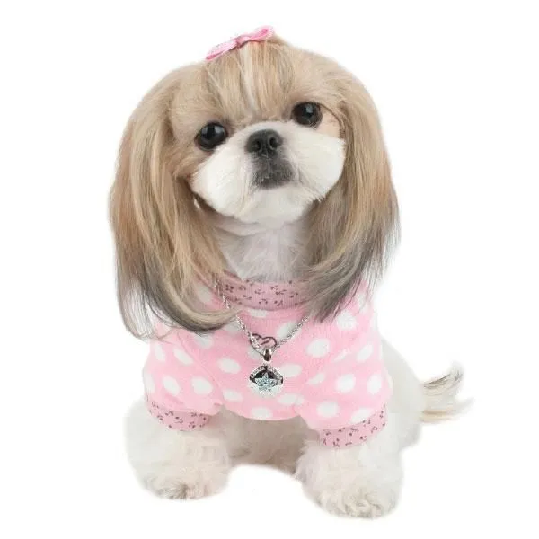 Diseños de ropa para perros - Imagui