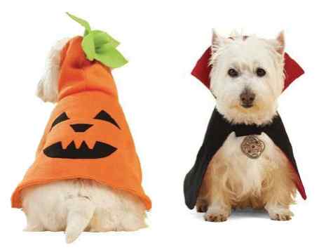 Disfraces de Halloween para perros | Decoración de Uñas - Manicura ... Disfraces de Halloween para perros | Decoración de Uñas - Manicura ...