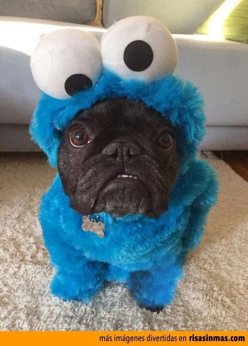 Imágenes divertidas de Monstruo de las galletas