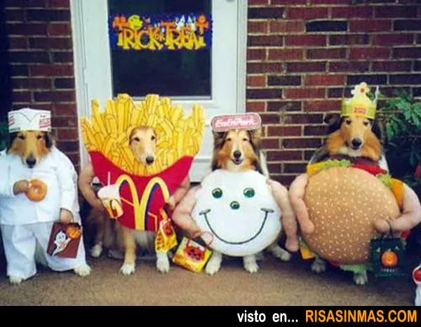 Disfraces perrunos: Comida rápida