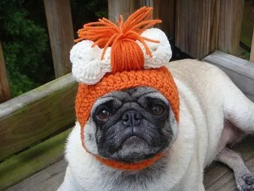 Disfraces Ropa Gorros Para Mascota Tejidos Crochet | vestidos para ...