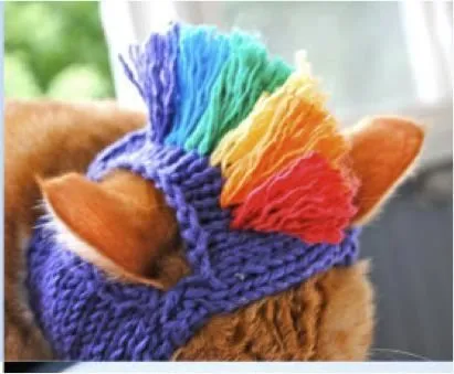 Disfraces - Ropa - Gorros Para Perro, Gato Tejidos Crochet ...