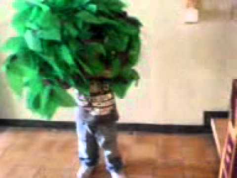 disfraz de arbol - YouTube