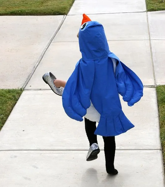 Disfraz de pajaro azul - Imagui