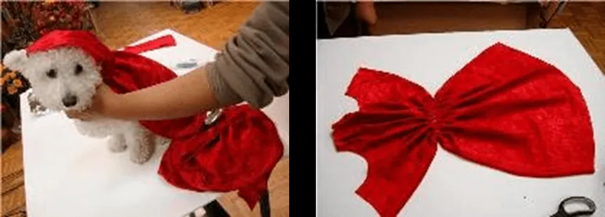 Disfraz de Caperucita Roja Para Perros Fácil De Confeccionar Y No ... Disfraz de Caperucita Roja Para Perros Fácil De Confeccionar Y No ...