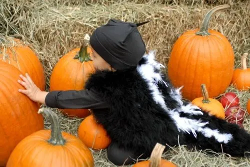 Disfraz casero de mofeta para niño | Todo Halloween Disfraz casero de mofeta para niño | Todo Halloween