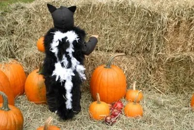 Disfraz casero de mofeta para niño | Todo Halloween Disfraz casero de mofeta para niño | Todo Halloween