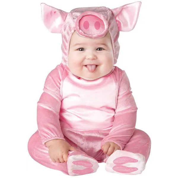 insectos y plantas bebés | FunideliaES - Ropa Online insectos y plantas bebés | FunideliaES - Ropa Online