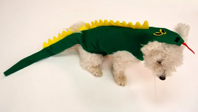 Disfraz De Dragón Para Perros – Súper Fácil – No Requiere ... Disfraz De Dragón Para Perros – Súper Fácil – No Requiere ...