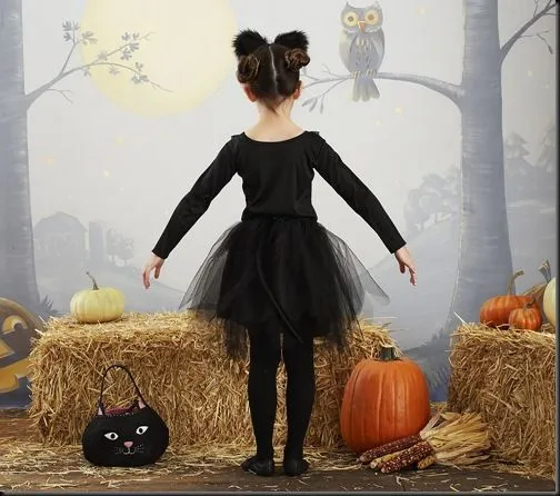 Como hacer un disfraz de gato para niña con un tutú | Todo Halloween Como hacer un disfraz de gato para niña con un tutú | Todo Halloween