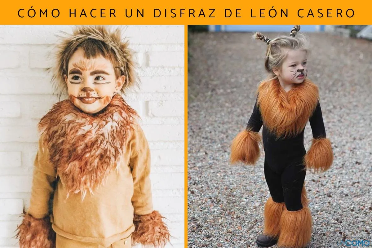 Cómo hacer un disfraz de león casero - ¡Descubre cómo se hace el traje, la melena y los accesorios! Cómo hacer un disfraz de león casero - ¡Descubre cómo se hace el traje, la melena y los accesorios!