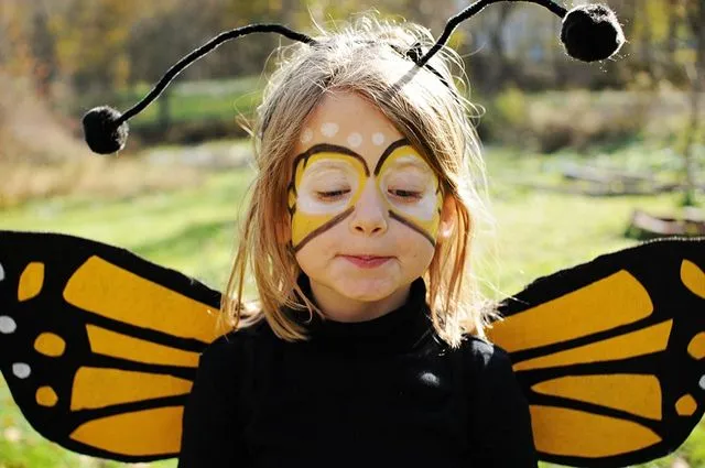 Disfraz de Mariposa hecho en casa - Disfraces caseros y tiendas de ...