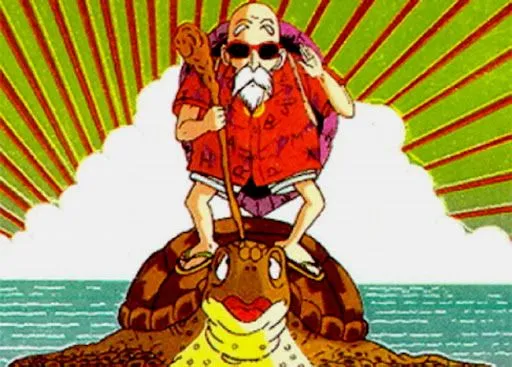 Disfraz mutenroshi - Imagui