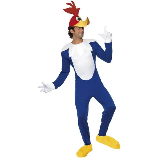 Disfraz del Pájaro Loco para chico: comprar online Disfraz del Pájaro Loco para chico: comprar online