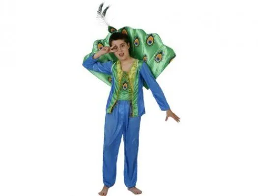 Disfraz de pavo real niño, Talla 2 (5 – 6 años) Disfraz de pavo real niño, Talla 2 (5 – 6 años)
