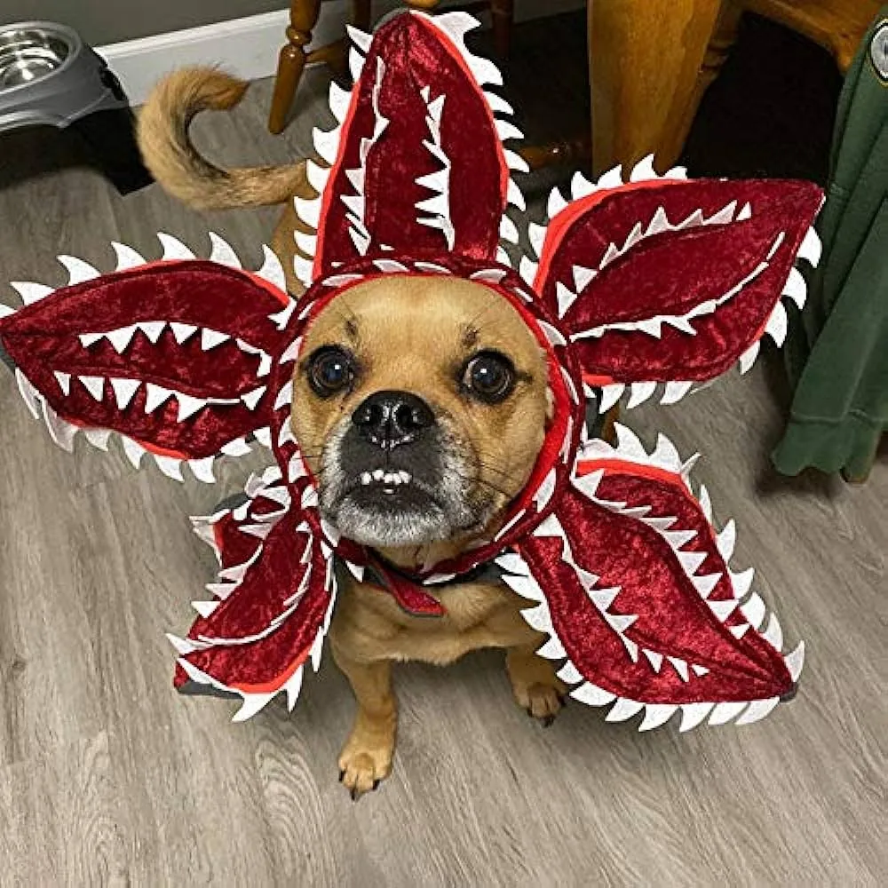 Disfraz de perro de estilo extraño para niños, mascotas, gatos, cosplay,  sombrero para mascotas, espectáculo de Halloween, cosplay, gorro de  maquillaje, tocado de gato, accesorios para la cabeza, suministros de  fiesta de