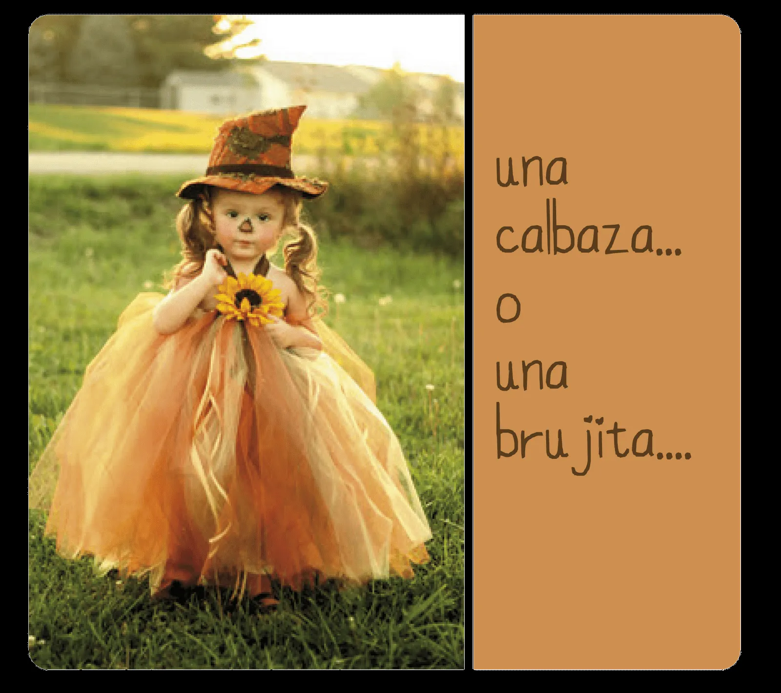 Disfraz de tul - Imagui