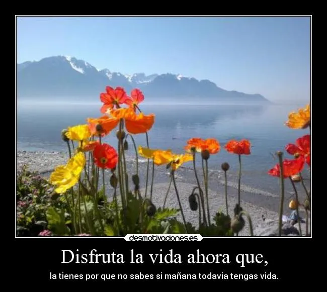 Disfruta la vida ahora que, | Desmotivaciones