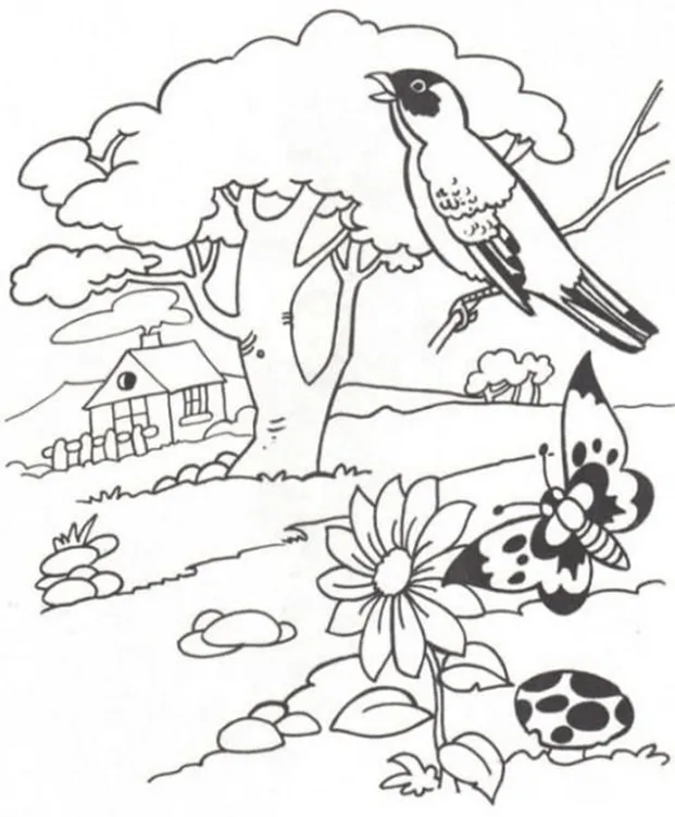 DISFRUTO Y CUIDO LA NATURALEZA | UN PREESCOLAR DIVERTIDO DISFRUTO Y CUIDO LA NATURALEZA | UN PREESCOLAR DIVERTIDO