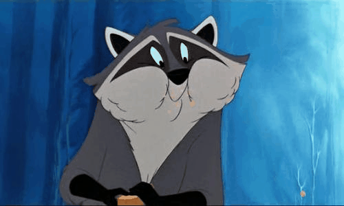 disney disney gif reaction gif pocahontas meeko pocahontas gif ...