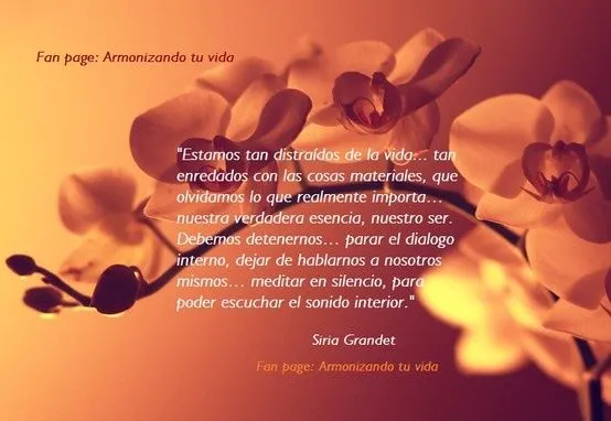 Estamos tan distraídos de la vida... tan enredados con las cosas ... Estamos tan distraídos de la vida... tan enredados con las cosas ...