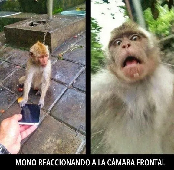 Diverint → Risas, Chistes y Humor sin límites! : Imágenes ... Diverint → Risas, Chistes y Humor sin límites! : Imágenes ...