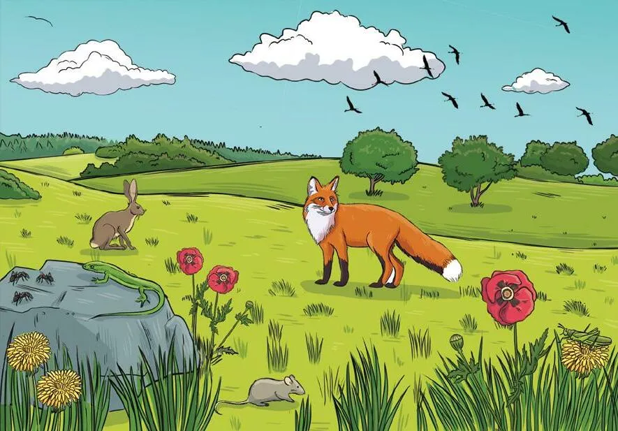 La gran diversidad de ecosistemas - Issuu