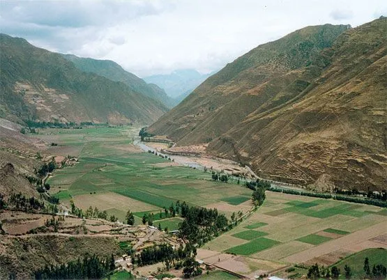 LA DIVERSIDAD DEL PERU: octubre 2010