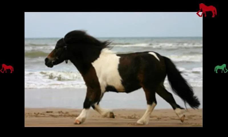 diversión y ponis para bebés - Aplicaciones Android en Google Play diversión y ponis para bebés - Aplicaciones Android en Google Play