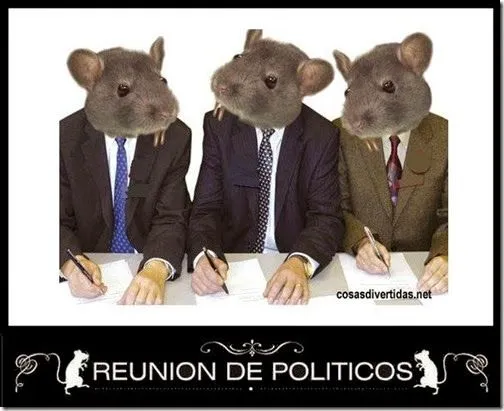 Cosas divertidas: Cumbre de políticos 2014, humor fotos de ratas Cosas divertidas: Cumbre de políticos 2014, humor fotos de ratas