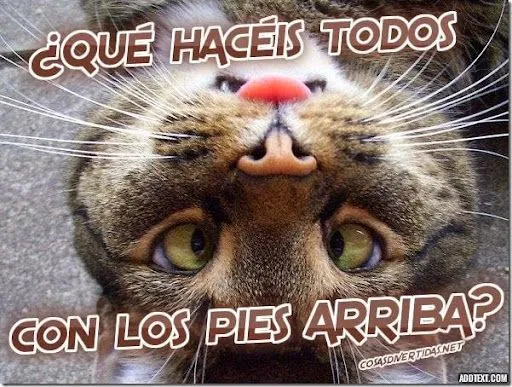 Cosas divertidas: septiembre 2014