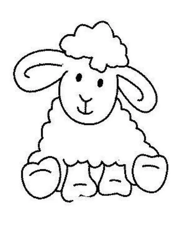 Un divertido dibujo de oveja para colorear niños 5 años
