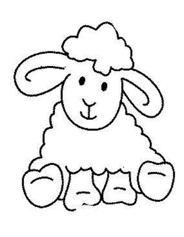 Un divertido dibujo de oveja para colorear niños 5 años Un divertido dibujo de oveja para colorear niños 5 años