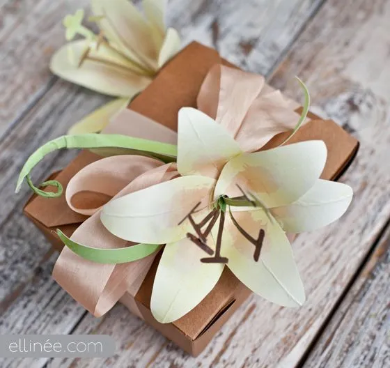 diy Archivos | Jabón natural